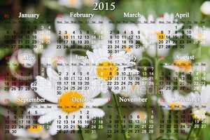 calendar for 2015 year on the white camomiles background