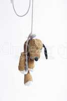 Hanging stuffed dog