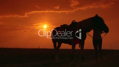 Silhouette of young woman and horse training during sunset in field