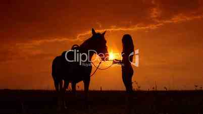 Silhouette of young woman and horse training during sunset in field