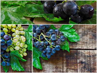 Collage of green and black grapes