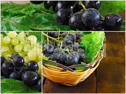 Collage of green and black grapes