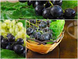 Collage of green and black grapes