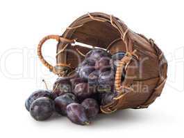 Plums in a basket