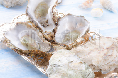 oysters