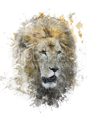 Watercolor Image Of Lion Head