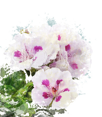 Watercolor Image Of Geranium Flowers