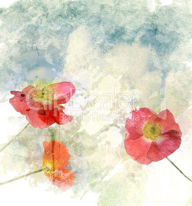 Watercolor Image Of  Poppy Flowers
