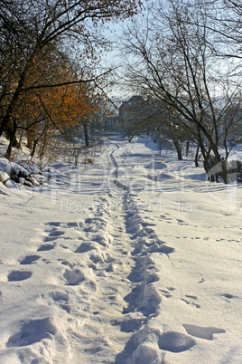 Narrow footpath on the snow among trees
