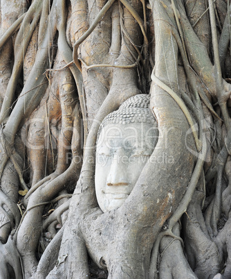 Head of Buddha