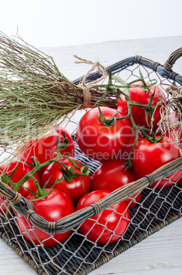 tomatoes in the basket