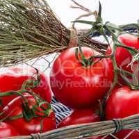 tomatoes in the basket