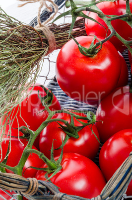 tomatoes in the basket