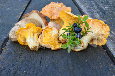 Blueberries and wild mushrooms