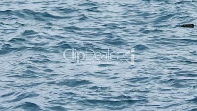 View of Wavy Water Surface, closeup