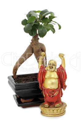 Buddha vor Bonsai - Buddha and bonsai