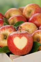 Apfel mit Herz im Korb im Herbst Thema Liebe