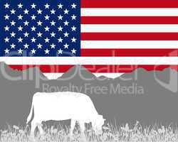 Kuh Alm und USA Fahne