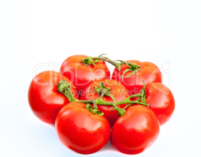 Fresh tomatoes isolated on white