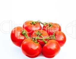 Fresh tomatoes isolated on white