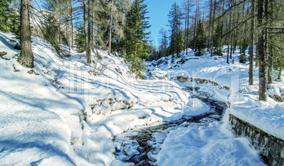 Mountain winter scenery with creek and trees