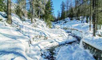 Mountain winter scenery with creek and trees