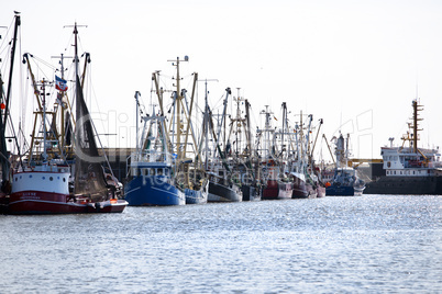 schiffe im buesumer hafen