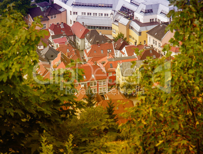 Scandinavian homes between trees