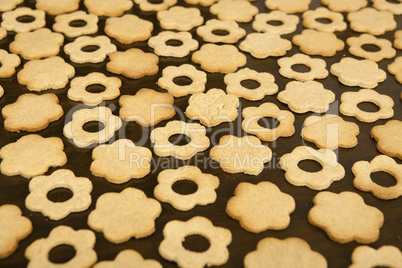 background biscuit