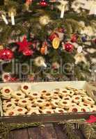 christmas cookies under the Christmas tree