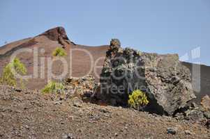 Volcan Negro (Volcan Garachico), Teneriffa