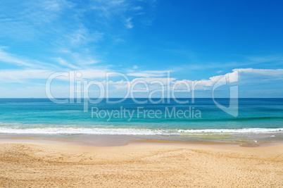 beach and tropical sea