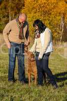 Couple training dog in sunny autumn park