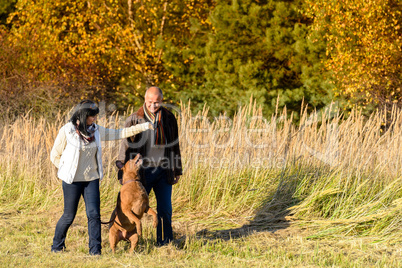 Couple playing with dog autumn sunny countryside