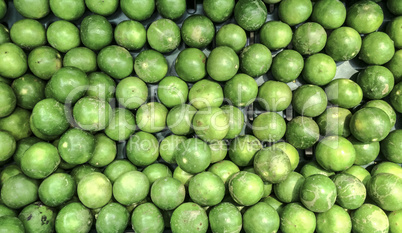 green lime citrus fruit