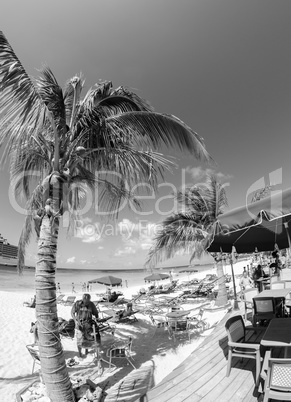 Resort on a beautiful caribbean beach