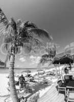 Resort on a beautiful caribbean beach