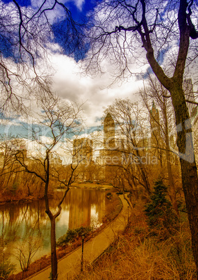 Central Park bare trees in winter - NYC