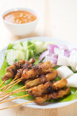 Asian delicacy chicken satay