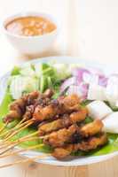 Asian delicacy chicken satay