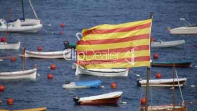 Catalonia Flag Waving Next to the Sea Front