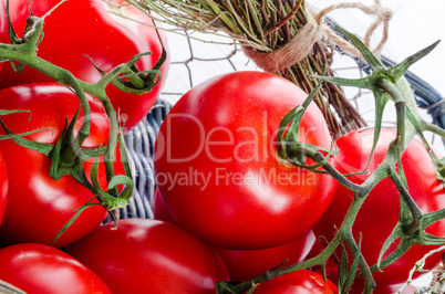 tomatoes in the basket