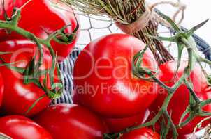 tomatoes in the basket