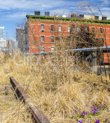 Colors of High Line in autumn. Urban public park on an historic