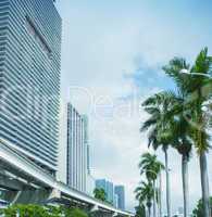 Palms and skyscrapers of Miami, Florida - USA