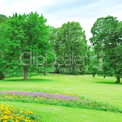 Summer park with lawn and flower garden