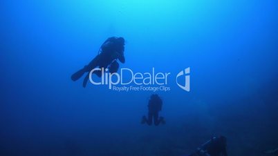 Diver Swim over Coral Reefs. Red Sea