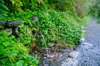 Aiguestortes national park