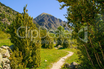 Aiguestortes national park