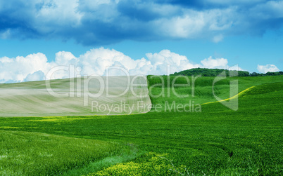 Green and brown meadows under a cloudy sky